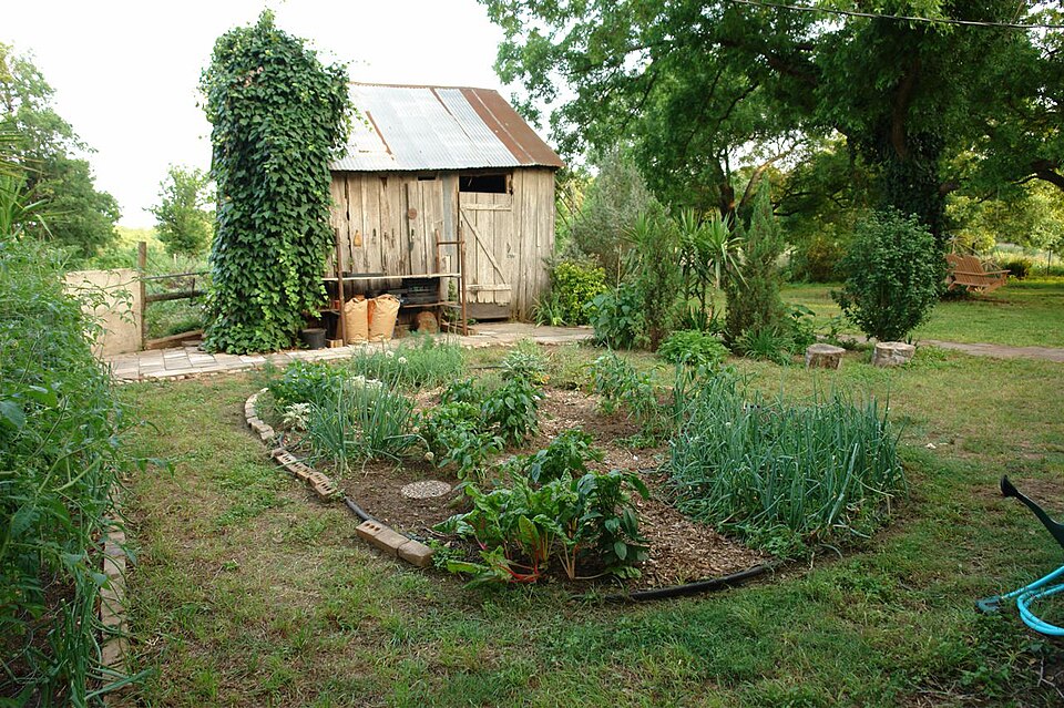 Vegetable garden.