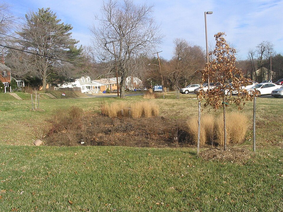 View of a bioretention cell, also called a rain garden, in the United States. 
Plants are in winter dormancy. Rain garden is designed to treat polluted stormwater runoff from an adjacent parking lot.
Dennis Ave Health Center, Wheaton, MD
