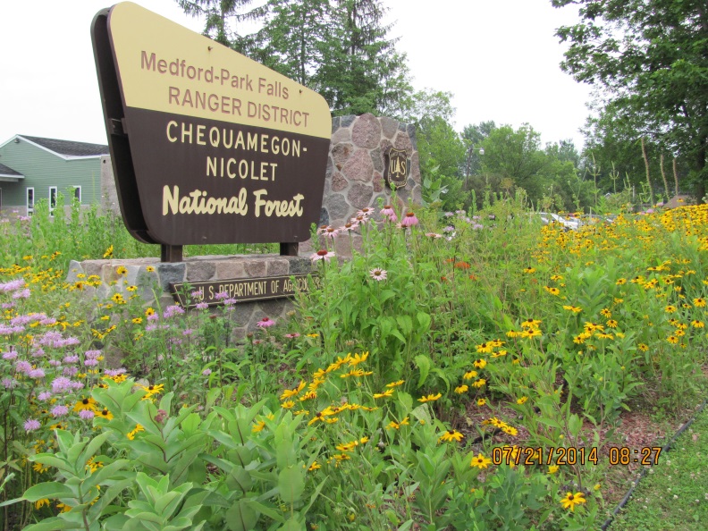 Native plant garden photographed by the U.S. Forest Service Eastern Region.