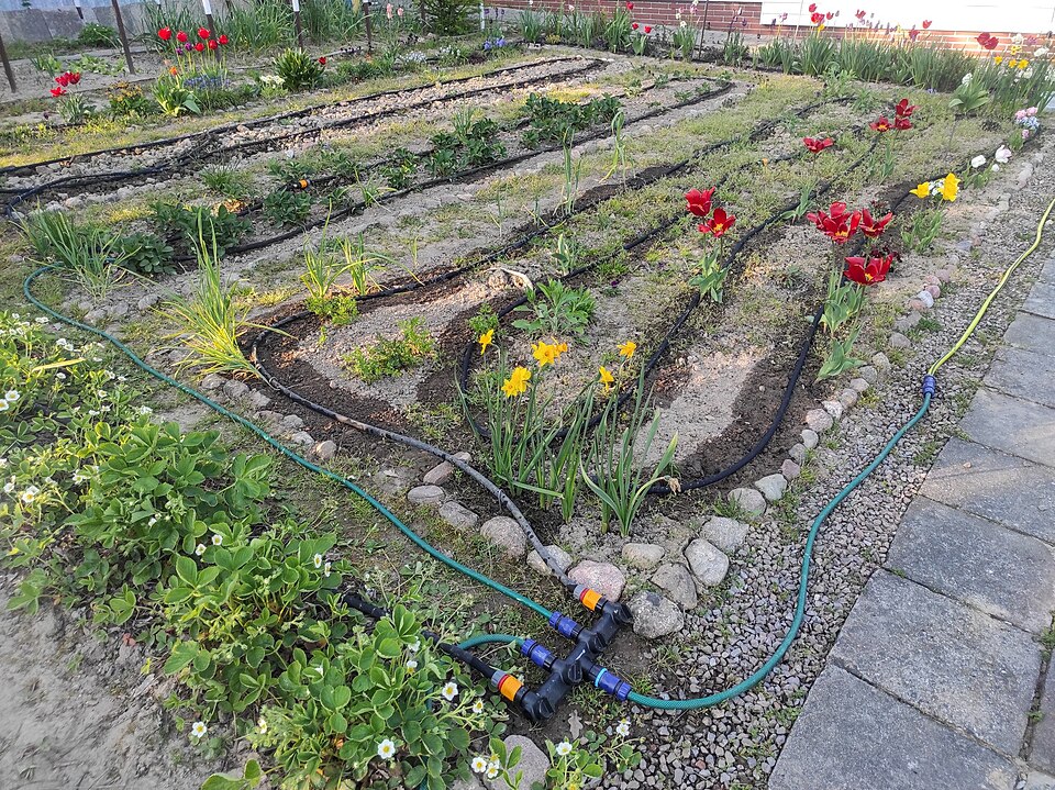A garden planting with micro-irrigation tubing; contextual setup rather than an exact installation model.