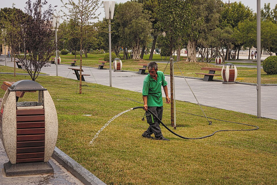 The gardener watering the lawn