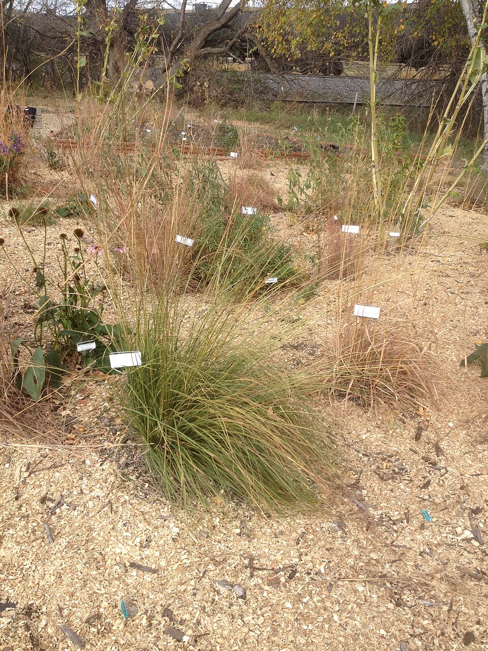 Valley City NFH has a pollinator garden of identified native plants in Valley City, ND.