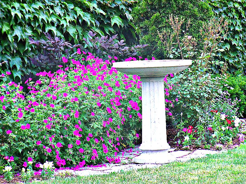 Bird bath in a flower garden, photo shot along West Street in Bar Harbor, Maine