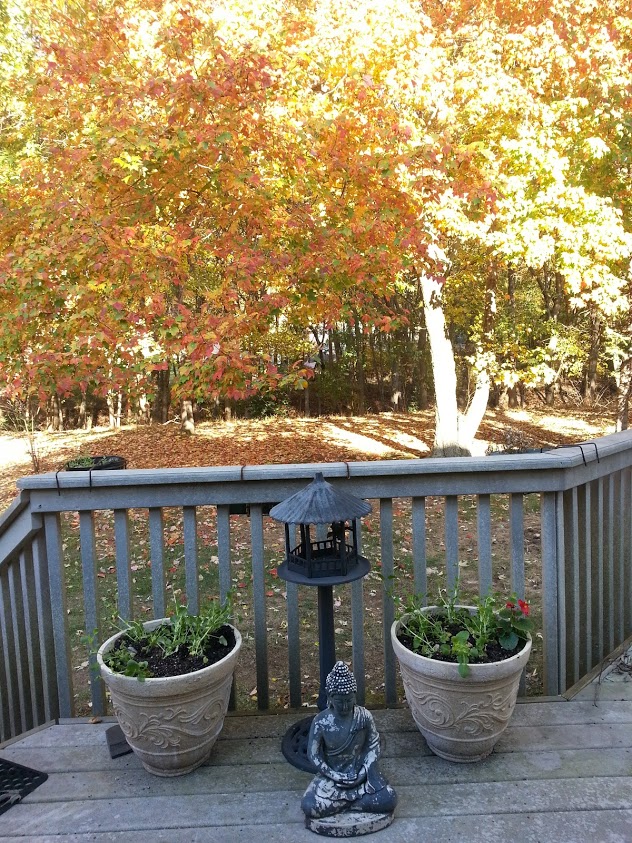 Backyard of New Jersey suburban house in Autumn