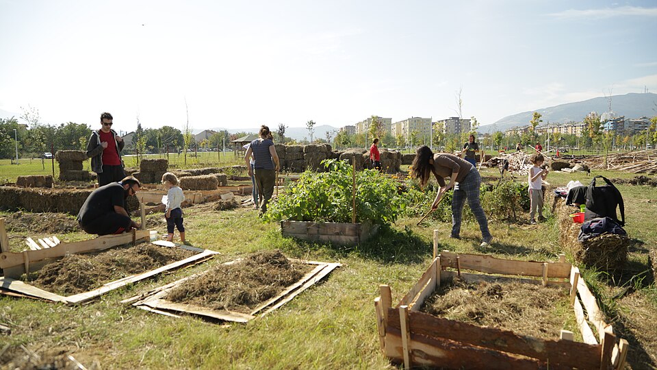 People weeding, digging, and preparing beds at Bostanie urban garden in Skopje. Context photo; no pad trial depicted.
