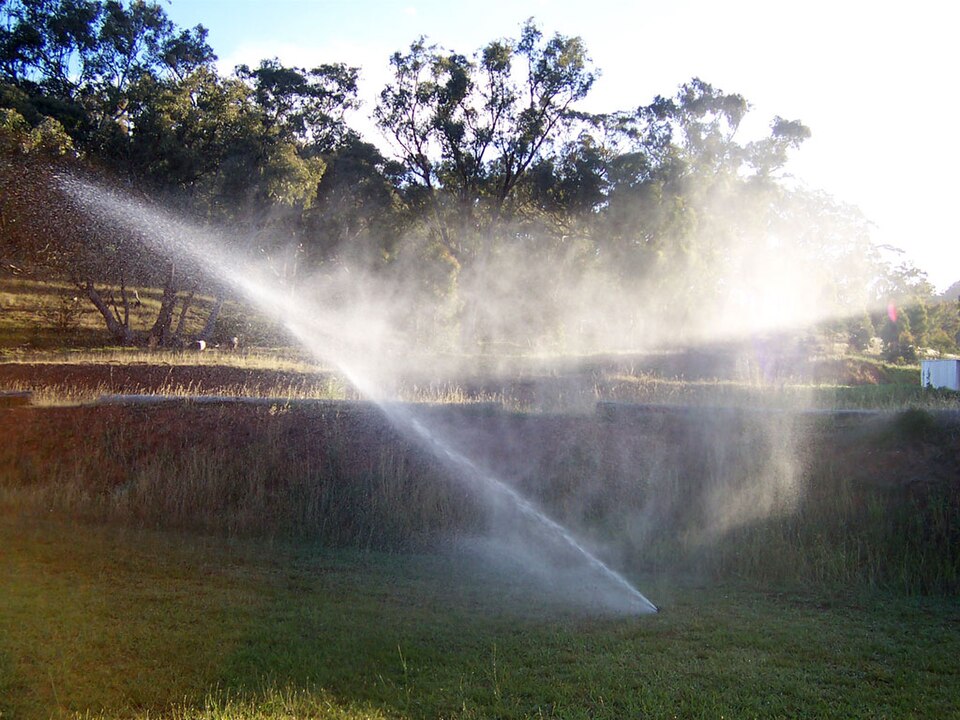 A sprinkler watering a broad lawn with mature trees and planted surroundings.